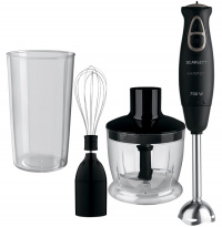 Блендер Scarlett SC-HB 42F55