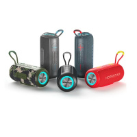 Акустика Hopestar P26