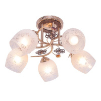 1425YX/5FG WT Люстра потол. эконом