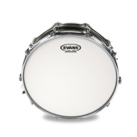 Пластик 10 Evans B10G1