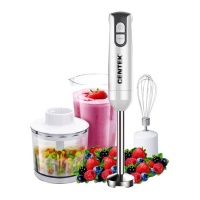 Блендер Centek CT 1336