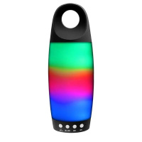 Акустика Ginzzu GM-895B