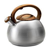 Чайник LARA 00-78