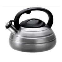 Чайник LARA 00-80 SS