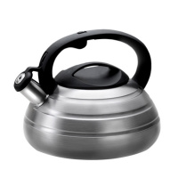 Чайник LARA 00-80