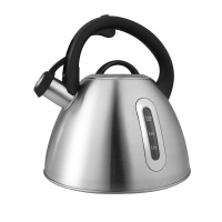 Чайник LARA 00-89