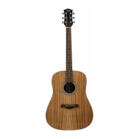 Гитара FLIGHT D 175AC