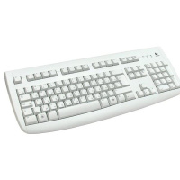 Клавиатура Logitech (967641) Deluxe 250 White <PS/2>