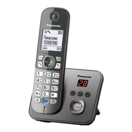 Телефон Panasonic KX-TG6821RUM