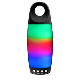 Акустика Ginzzu GM-895B