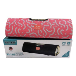 Акустика WSTERWS-2910