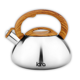 Чайник LARA 00-71