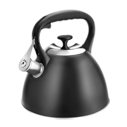 Чайник LARA 00-74