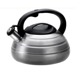 Чайник LARA 00-80 SS