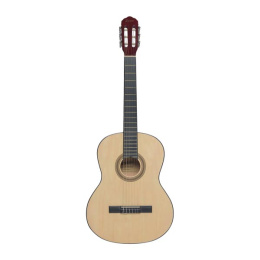 Гитара TERRIS TC 390A