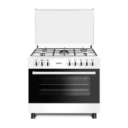 Плита DASCHER E9401 Белый Газоэлектрическая