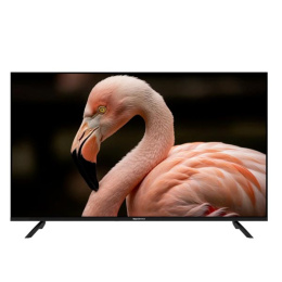 TV Topdevice TDWC43BF2110V FHD KA 60Hz WildRed 1GB/8GB