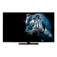 TV Panasonic TX-49 FXR 740