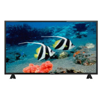 TV Starwind SW-LED43BA201 Full HD