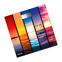 Весы напольные Centek CT 2421