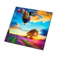 Весы напольные ENDEVER Aurora 551