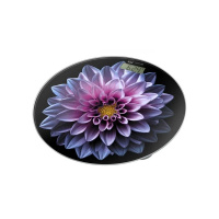 Весы напольные HOME ELEMENT HE-SC908